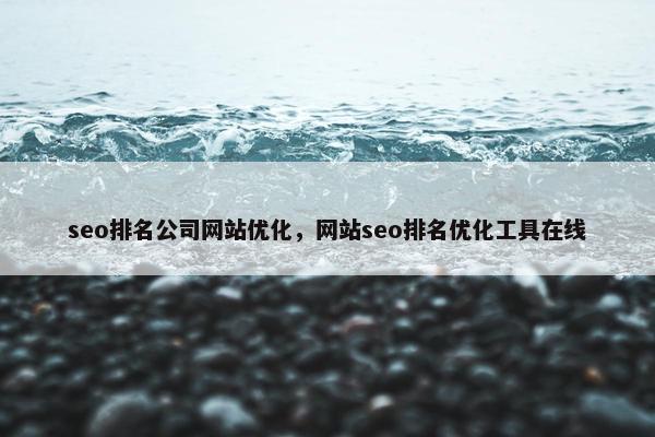 seo排名公司网站优化，网站seo排名优化工具在线