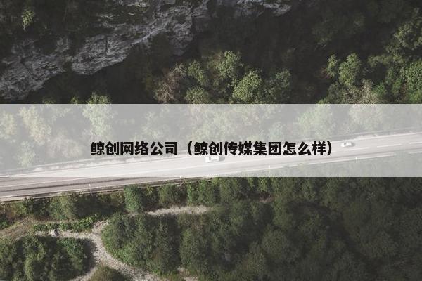 鲸创网络公司（鲸创传媒集团怎么样）