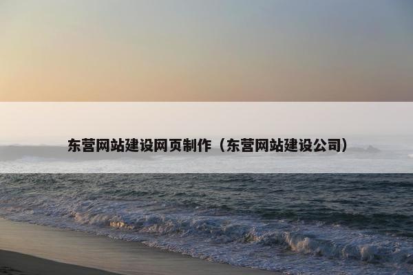 东营网站建设网页制作（东营网站建设公司）
