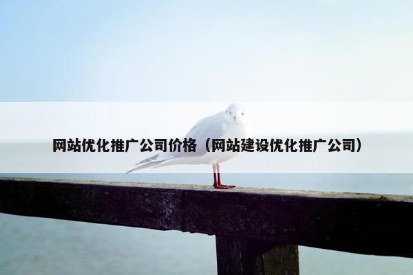 网站优化推广公司价格（网站建设优化推广公司）