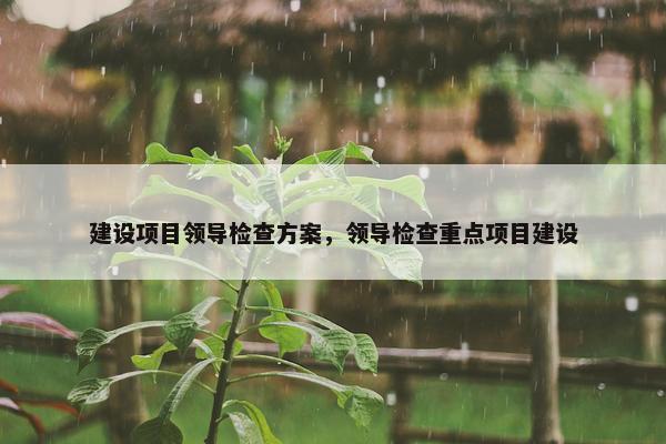 建设项目领导检查方案，领导检查重点项目建设