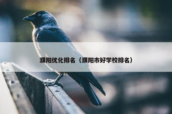 濮阳优化排名（濮阳市好学校排名）