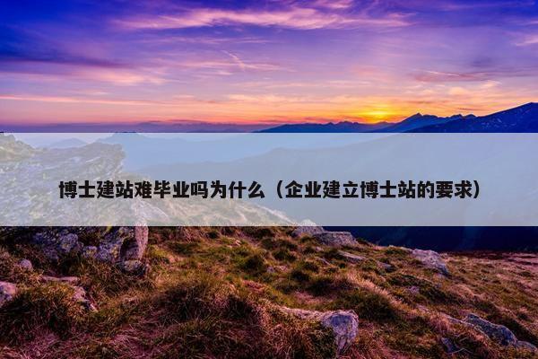 博士建站难毕业吗为什么（企业建立博士站的要求）