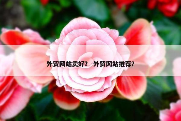 外贸网站卖好？ 外贸网站推荐？