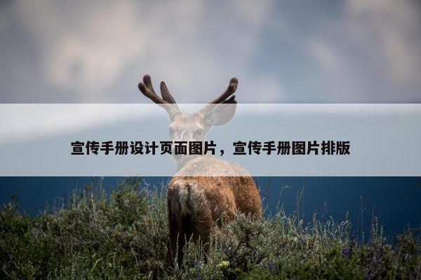 宣传手册设计页面图片，宣传手册图片排版