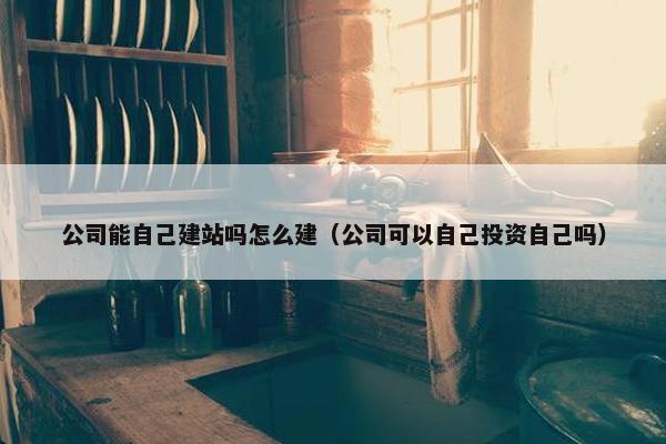 公司能自己建站吗怎么建（公司可以自己投资自己吗）
