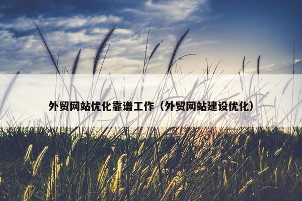 外贸网站优化靠谱工作（外贸网站建设优化）