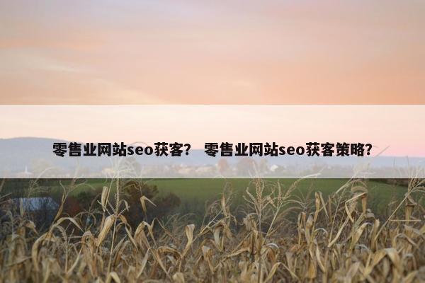 零售业网站seo获客？ 零售业网站seo获客策略？
