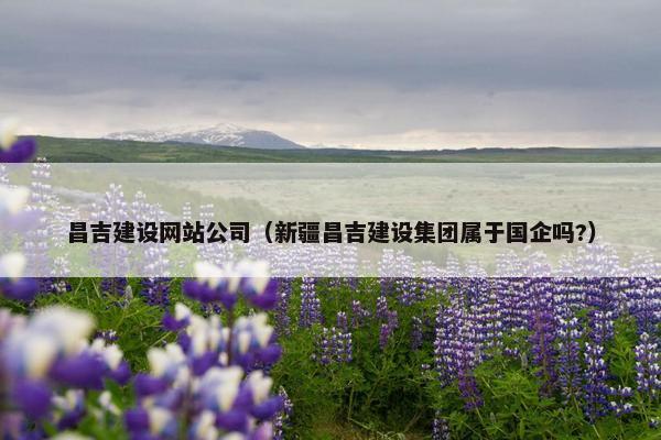 昌吉建设网站公司（新疆昌吉建设集团属于国企吗?）