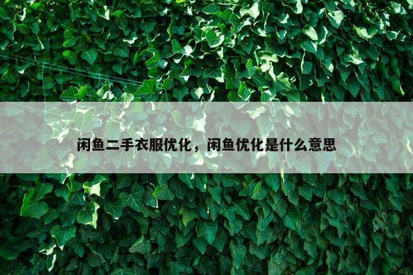 闲鱼二手衣服优化，闲鱼优化是什么意思