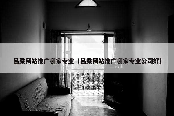 吕梁网站推广哪家专业（吕梁网站推广哪家专业公司好）