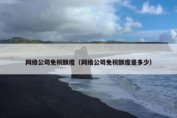 网络公司免税额度（网络公司免税额度是多少）