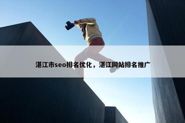 湛江市seo排名优化，湛江网站排名推广