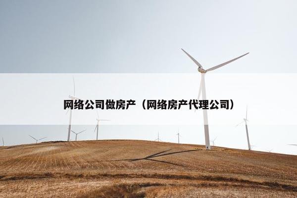 网络公司做房产（网络房产代理公司）