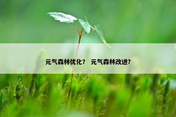 元气森林优化？ 元气森林改进？