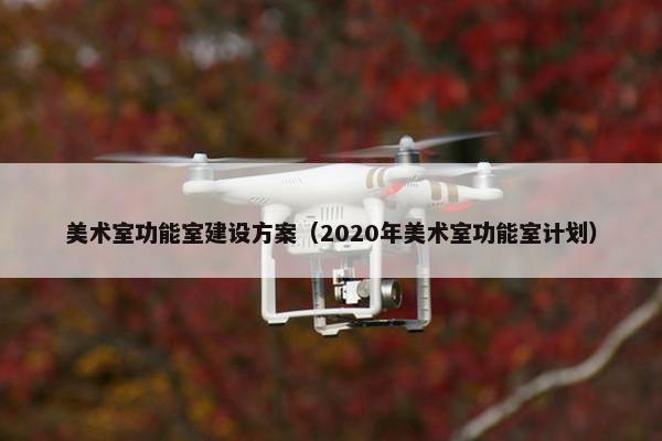 美术室功能室建设方案（2020年美术室功能室计划）