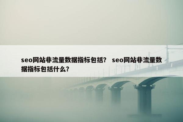 seo网站非流量数据指标包括？ seo网站非流量数据指标包括什么？