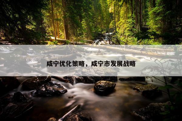 咸宁优化策略，咸宁市发展战略