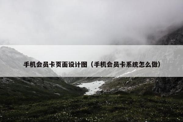 手机会员卡页面设计图（手机会员卡系统怎么做）