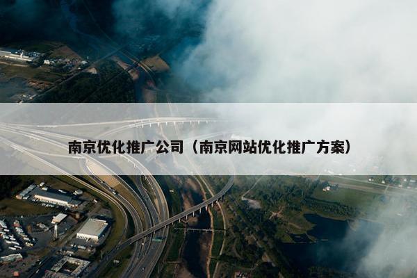 南京优化推广公司（南京网站优化推广方案）