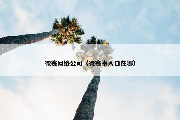 微赛网络公司（微赛事入口在哪）