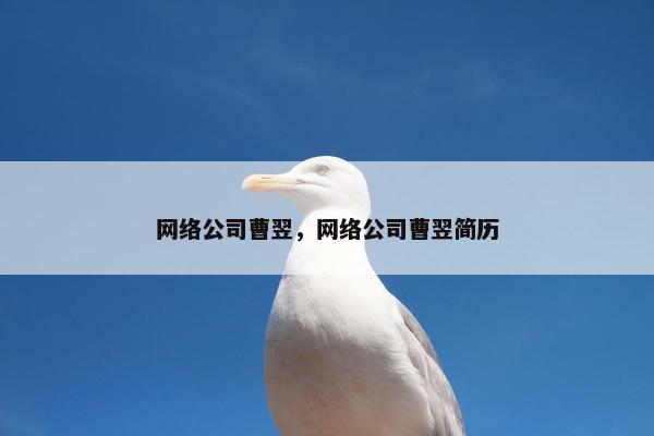 网络公司曹翌，网络公司曹翌简历
