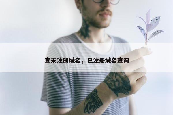 查未注册域名，已注册域名查询
