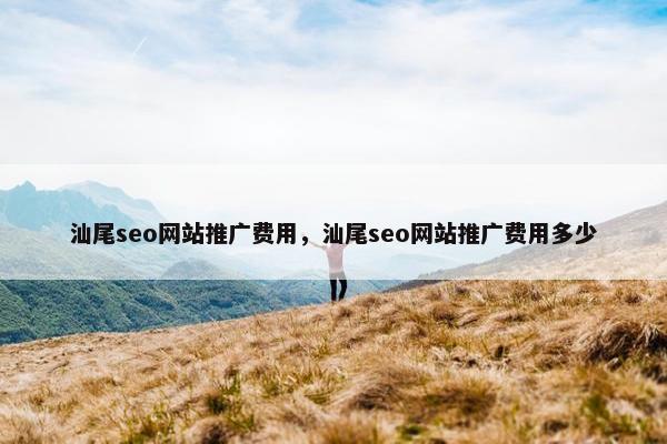 汕尾seo网站推广费用，汕尾seo网站推广费用多少