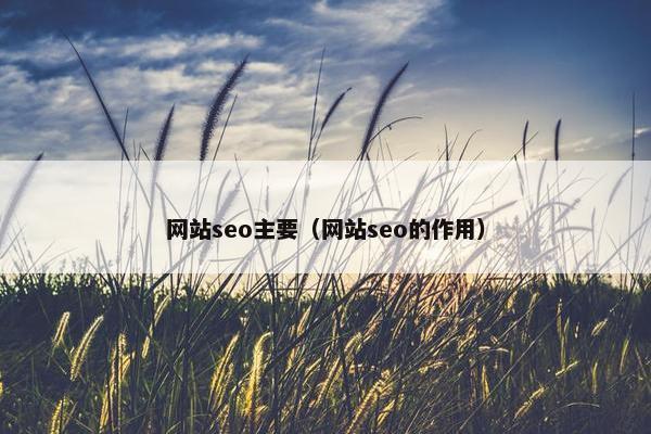 网站seo主要（网站seo的作用）