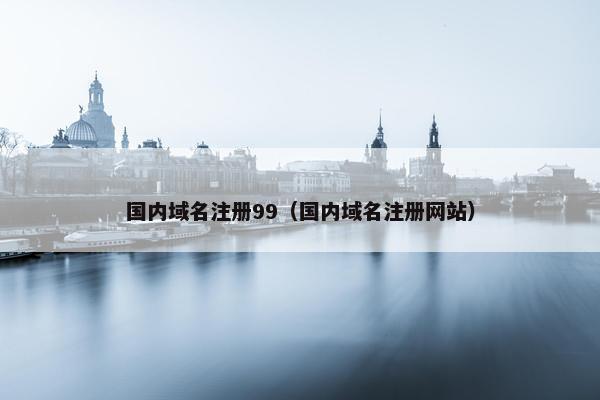国内域名注册99（国内域名注册网站）