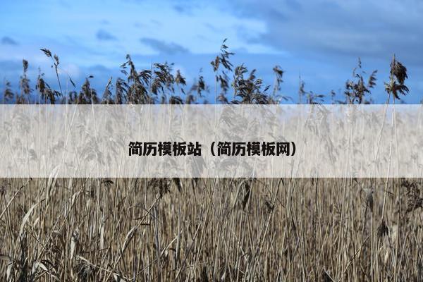 简历模板站（简历模板网）