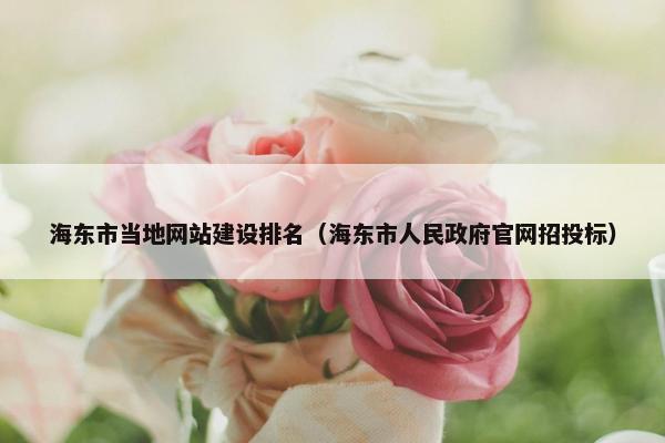 海东市当地网站建设排名（海东市人民政府官网招投标）