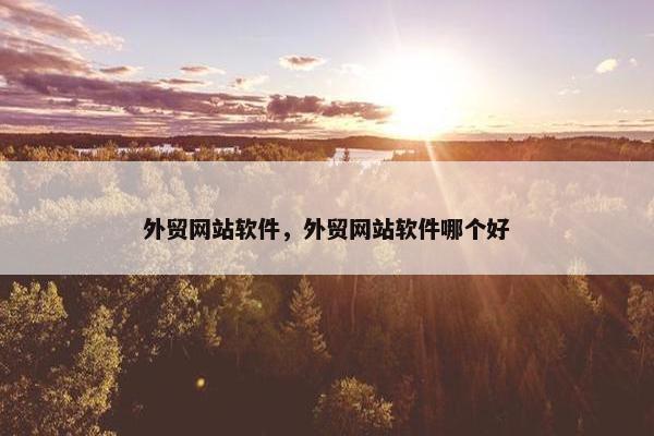 外贸网站软件，外贸网站软件哪个好