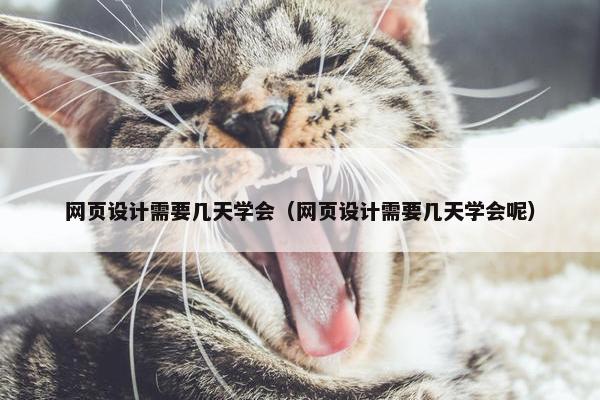 网页设计需要几天学会（网页设计需要几天学会呢）