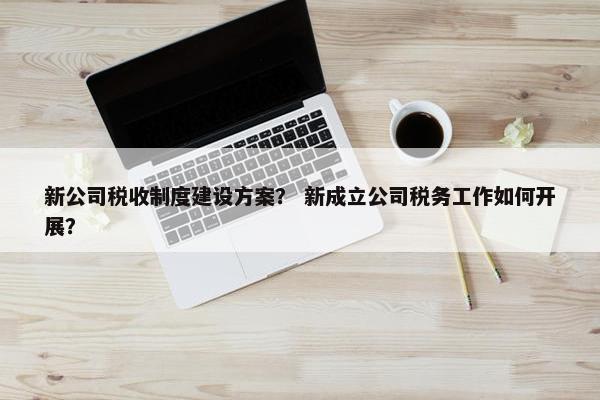 新公司税收制度建设方案？ 新成立公司税务工作如何开展？