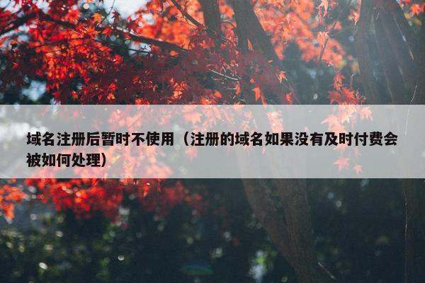 域名注册后暂时不使用（注册的域名如果没有及时付费会被如何处理）