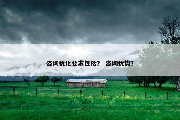 咨询优化要求包括？ 咨询优势？