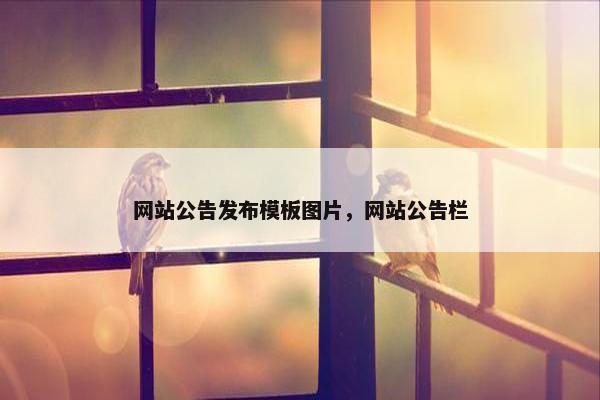 网站公告发布模板图片，网站公告栏