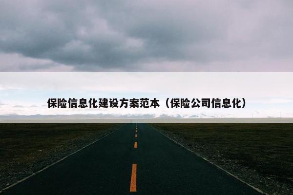 保险信息化建设方案范本（保险公司信息化）