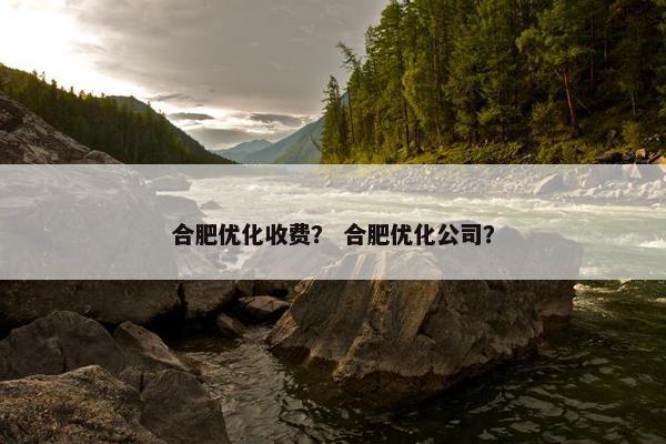 合肥优化收费？ 合肥优化公司？