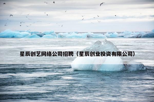 星辰创艺网络公司招聘（星辰创业投资有限公司）