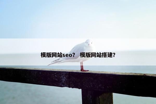 模版网站seo？ 模版网站搭建？