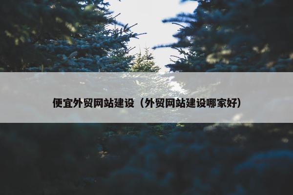 便宜外贸网站建设（外贸网站建设哪家好）