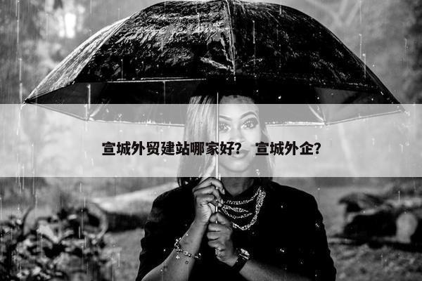 宣城外贸建站哪家好？ 宣城外企？