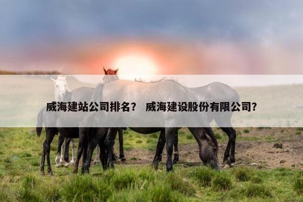 威海建站公司排名？ 威海建设股份有限公司？