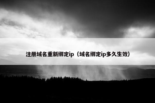 注册域名重新绑定ip（域名绑定ip多久生效）