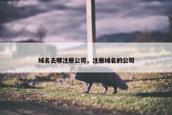 域名去哪注册公司，注册域名的公司