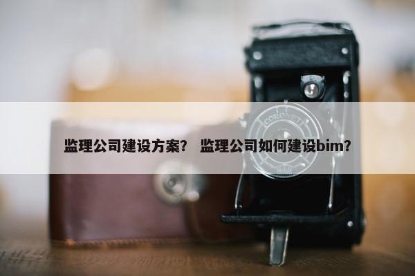 监理公司建设方案？ 监理公司如何建设bim？