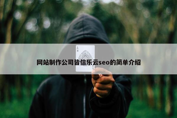 网站制作公司皆信乐云seo的简单介绍