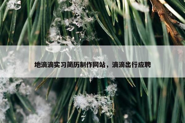 地滴滴实习简历制作网站，滴滴出行应聘